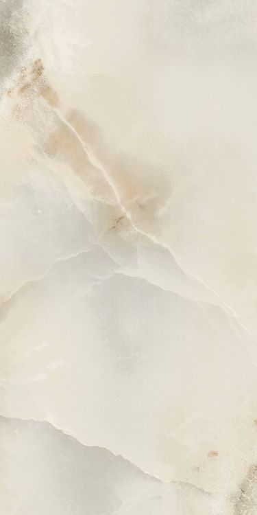 Reves Perle Matte 12 x 24